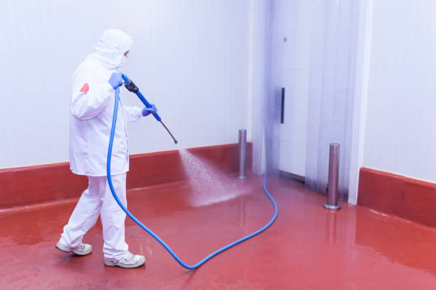 Best Sidewalk and Walkway Cleaning  in South Gate, CA