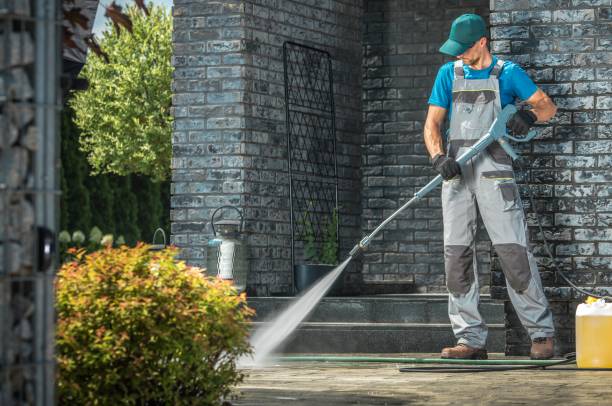 Best Solar Panel Cleaning  in South Gate, CA